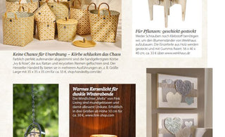 In the press: IVY & ROSE in the spotlight