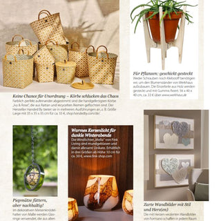 In the press: IVY & ROSE in the spotlight