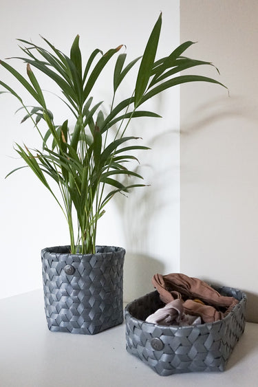 Dimensional - size XS