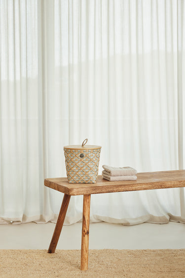 Ivy  Rose - cover small